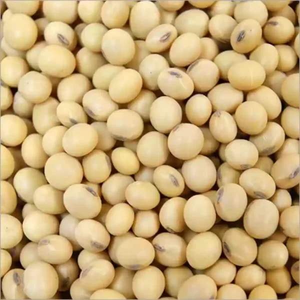 Soyabean seed 250 gm